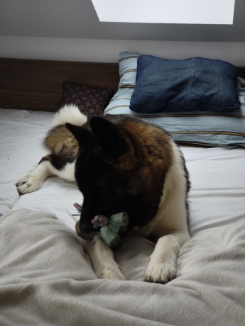 MVIMG_20260110_110033