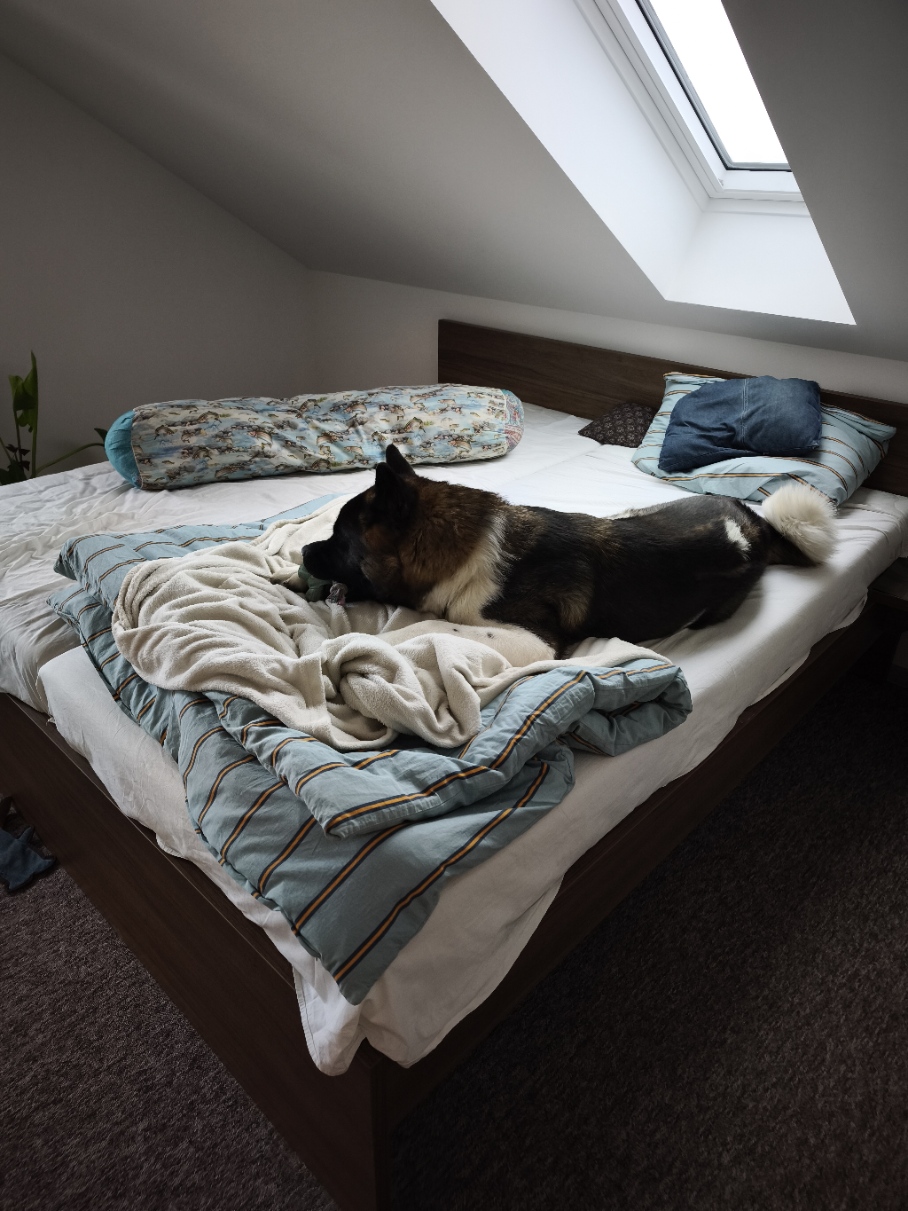 MVIMG_20260109_090905