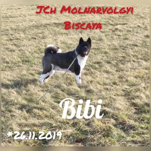 nepojmenovanebibi.jpg